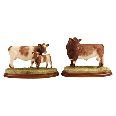 Lot 1055 - A Border Fine Arts "Beef Shorthorn Bull"...