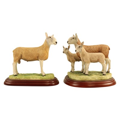 Lot 1058 - A Border Fine Arts "Blue Faced Leicester Ram"...