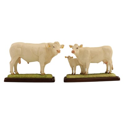Lot 1059 - A Border Fine Arts "Charolais Bull"...