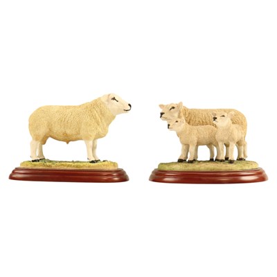 Lot 1060 - A Border Fine Arts "Texel Ram" A0736, together...