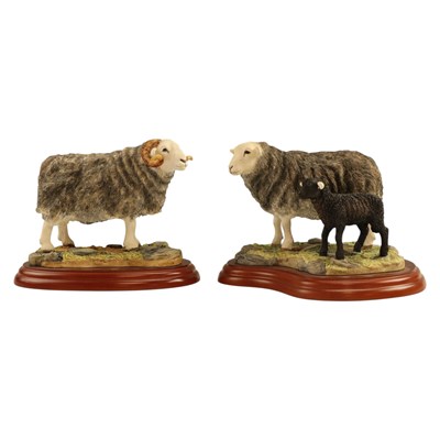 Lot 1063 - A Border Fine Arts "Herdwick Ram" A1887,...