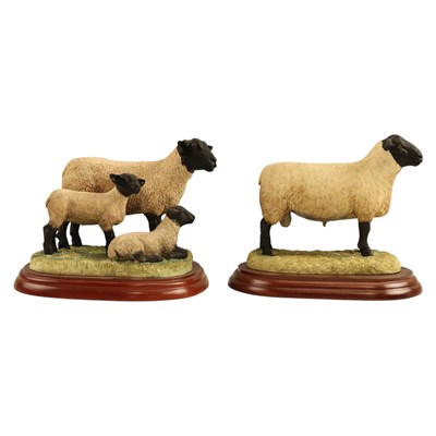 Lot 1064 - A Border Fine Arts "Suffolk Tup" B0196,...