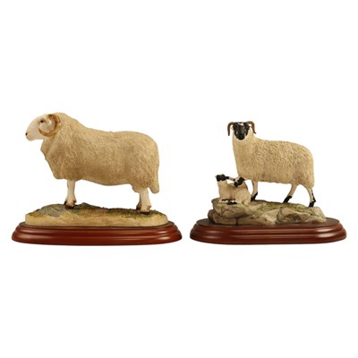 Lot 1066 - A Border Fine Arts "Blackface Ewe & Lambs"...