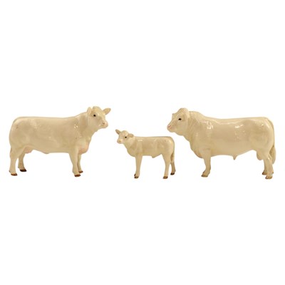 Lot 1071 - A Border Fine Arts "Charolais bull", together...