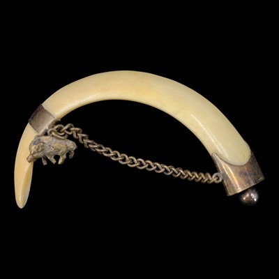 Lot 1499 - A late 19th / early 20th Century boar tusk...
