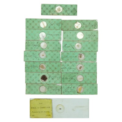 Lot 648 - A group of 19th Century microscope slides...